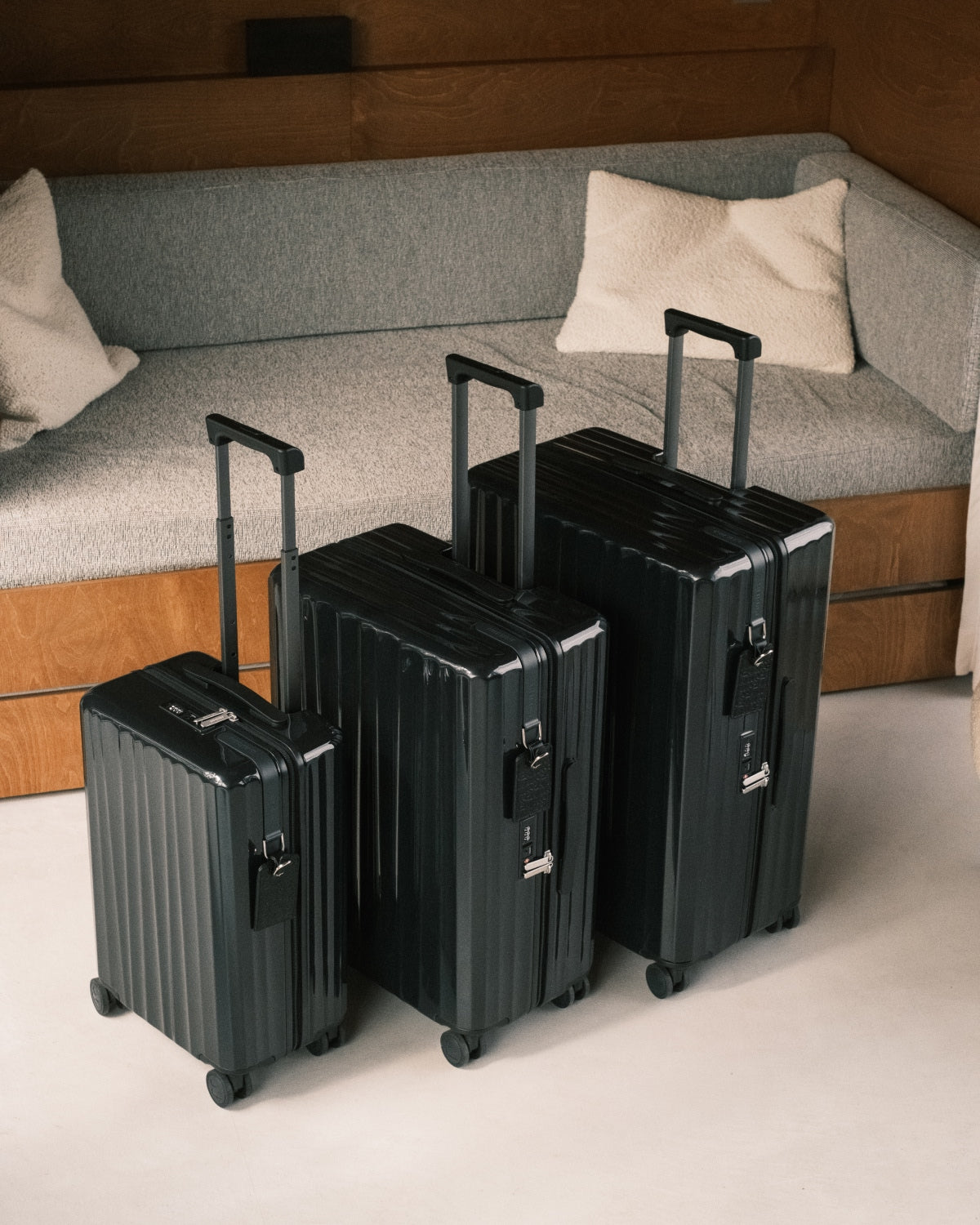 Charcoal Black -  Bold Cabin Bag V2 + Bold Check-In (M) Bag V2 - Bold Check-In (L) Bag V2 Bundle